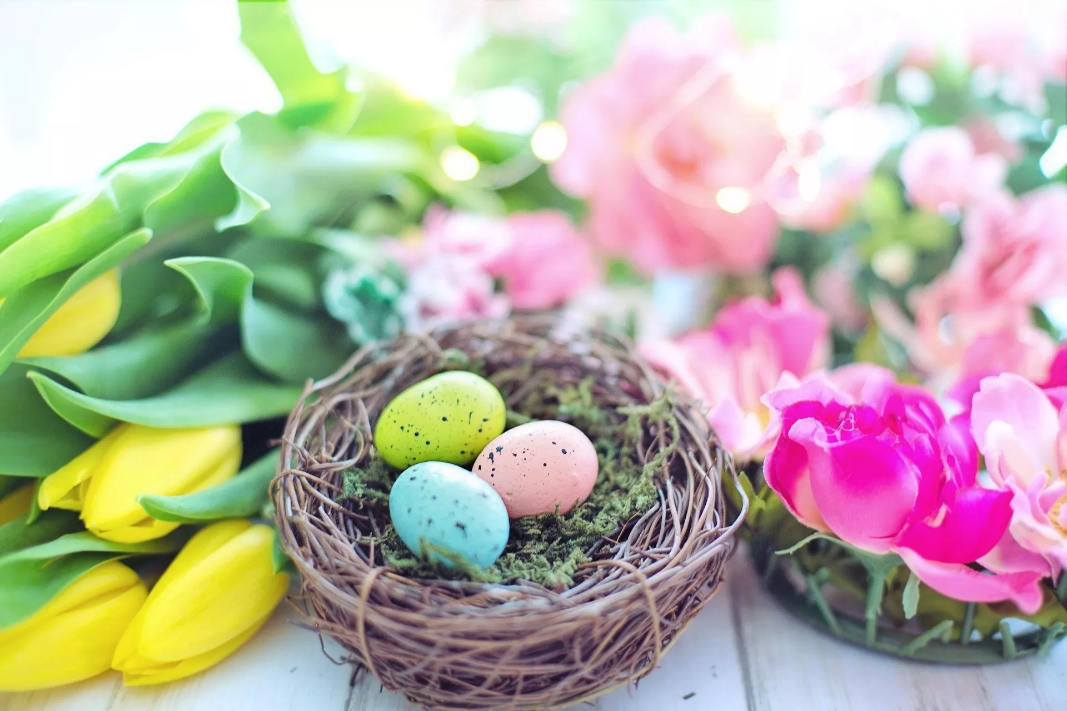 Bild Ostern mit Osternest und 3 bunten Eiern vor liegenden Blumen
